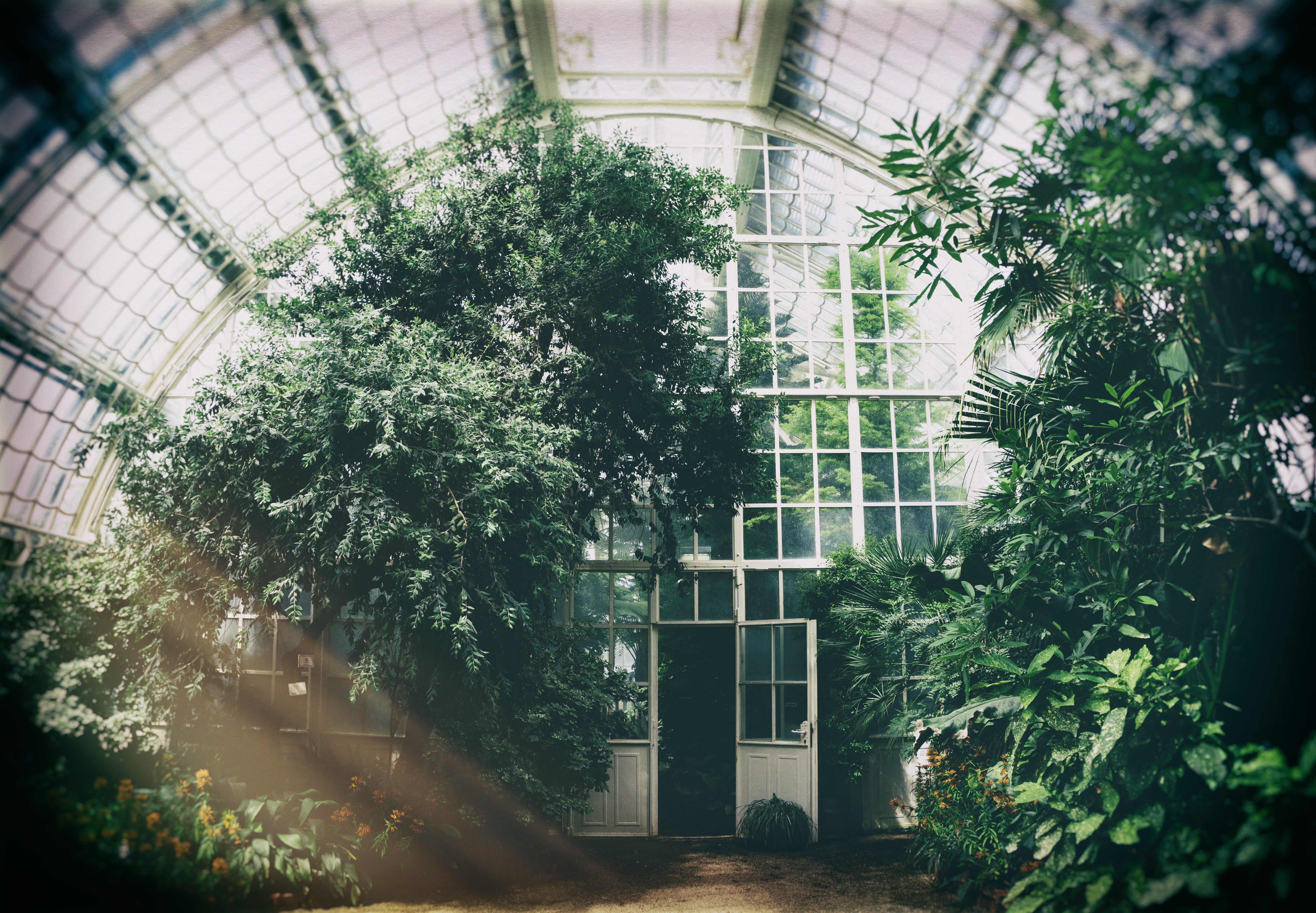 greenhouse two